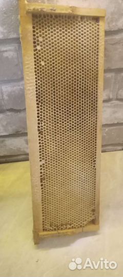 Сушь для пчел