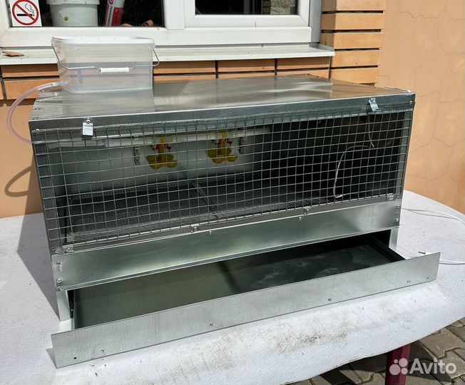 Брудер для цыплят