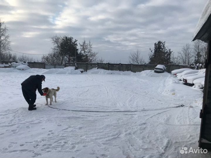 Автостоянка