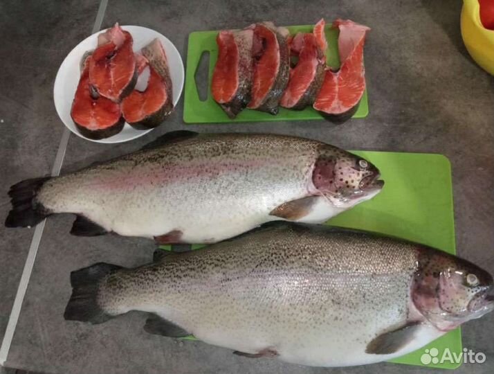 Форель свежая охлаждённая