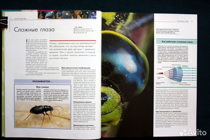 Книга Удивительные способности животных