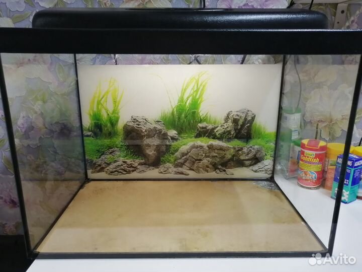 Аквариум