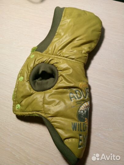 Весенний комбинезон для собак