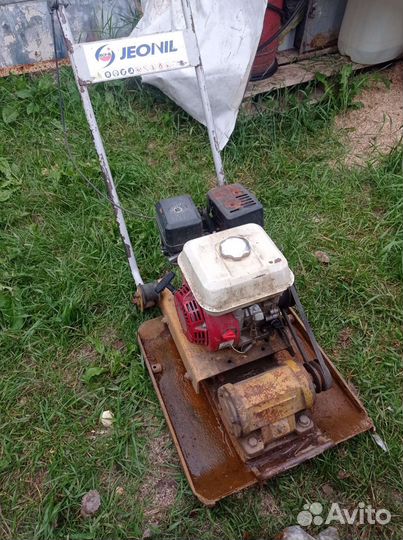 Виброплита в аренду