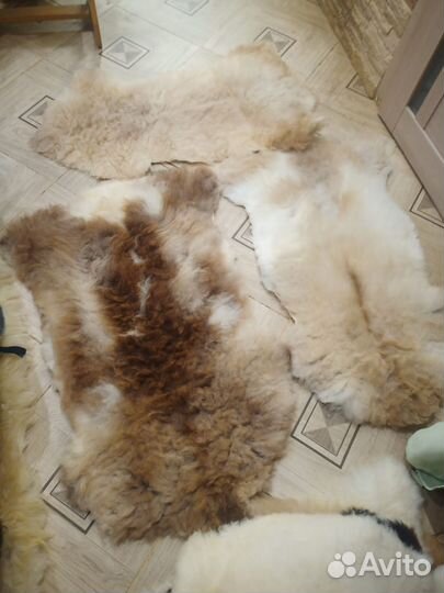 Шкура из овчины