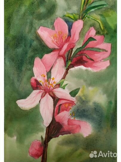 Цветущий миндаль. Картина