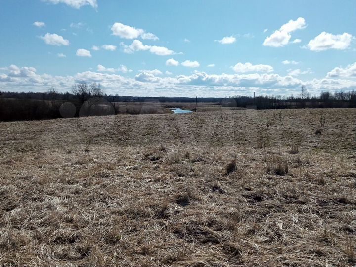 Участок 100 сот. (ИЖС)