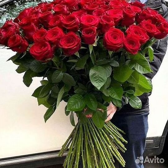 Розы Высокие 150см 160см 170см 180см 190см 2м