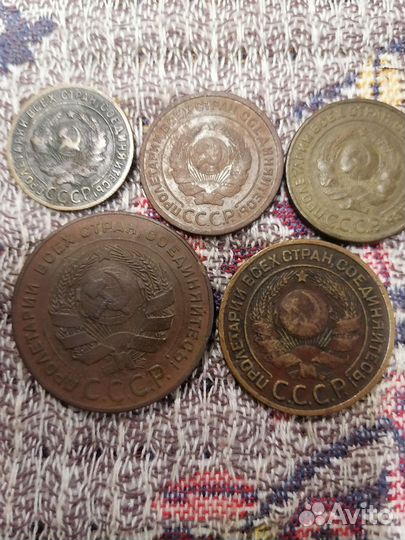 Лот 1924 года