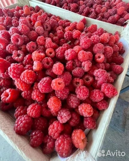 Малина клубника ящиками