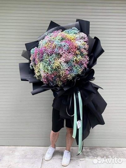 Гипсофила букет гигант