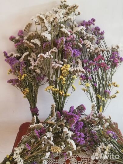 Статице, сухоцвет