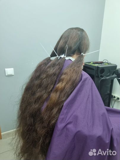 Скупка волос. Купим волосы. Приём волос