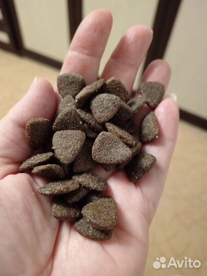 Корм для собак monge