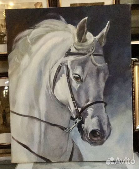 Картина «Лошадь» холст масло 50х40