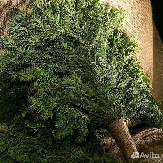 Веники для бани