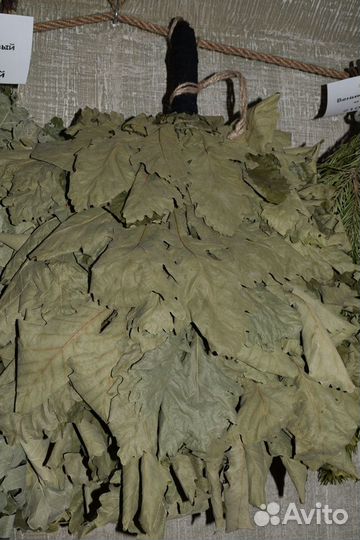 Кавказский дубовый веник 