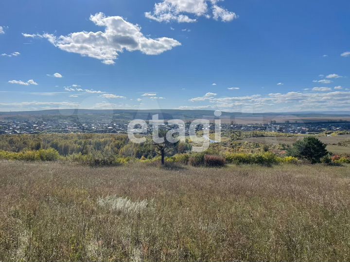 Участок 6,51 га (личное подсобное хозяйство (лпх))