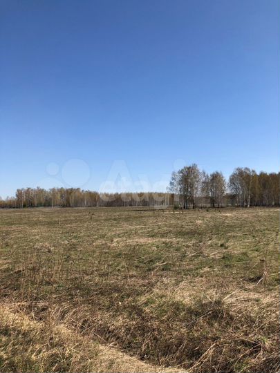 Участок 17,5 га (СНТ, ДНП)