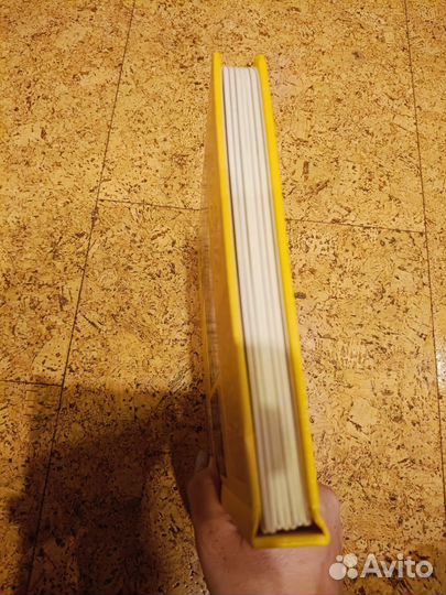 Секреты человека. Серия волшебные створки