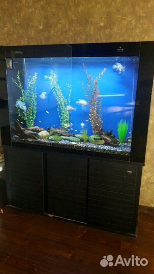 Аквариум