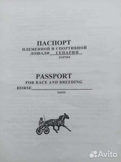 Жиребчик 2.4