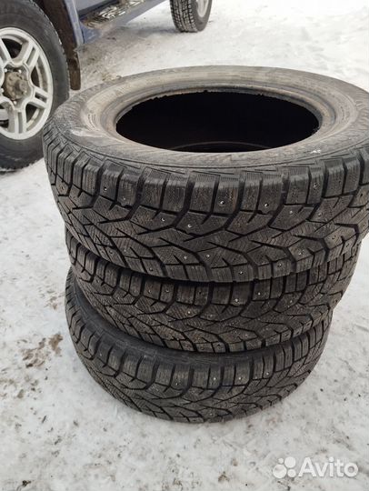 Gislaved NordFrost 100 175/70 R14