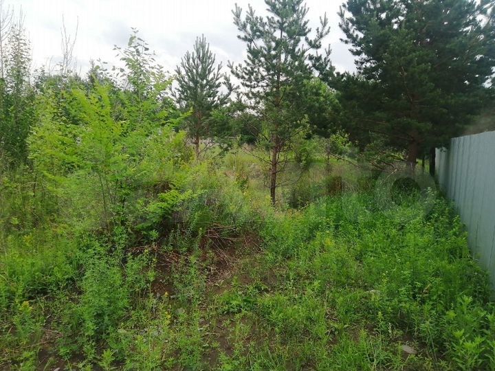 Участок 12,5 сот. (ИЖС)