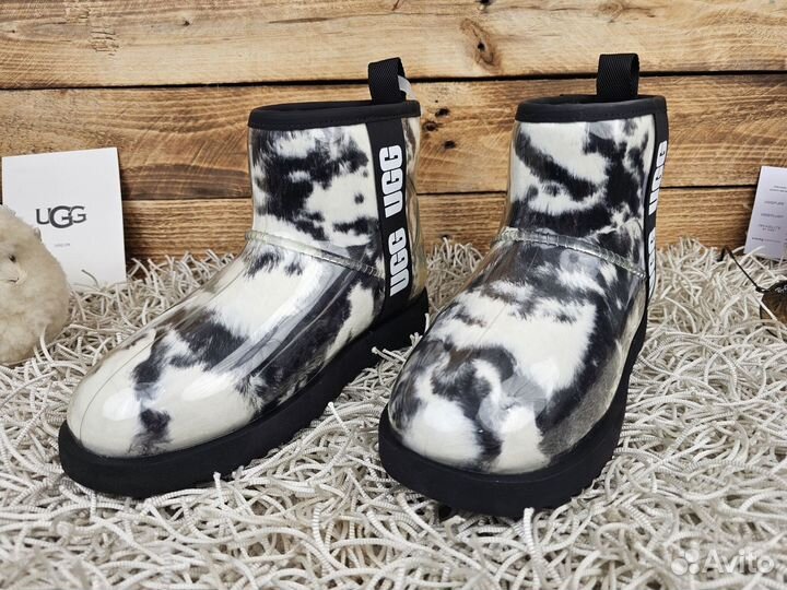 Угги Ugg Classic Clear Mini Zebra женские оригинал