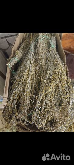 Веники для бани и травы опт полынь донник