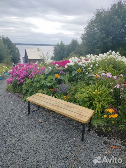 Отдых,рыбалка,ягоды, грибы Карелия