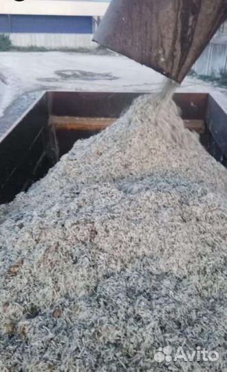 Жом свекольный