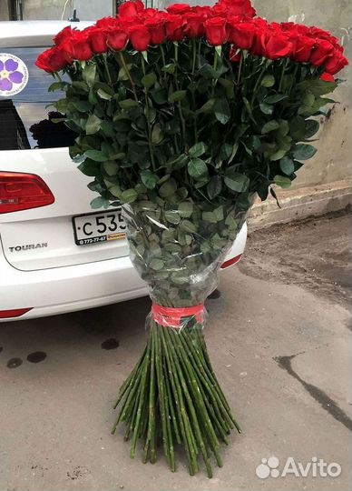Высокие розы Гигантские Розы 150 160 170 180 190см