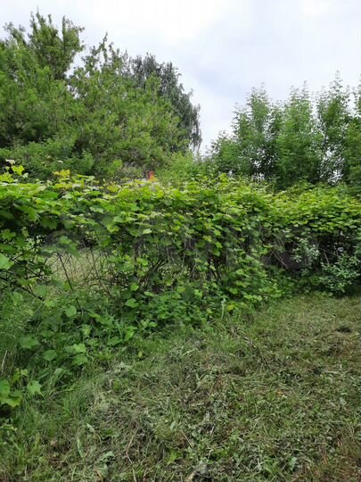 Свободного назначения, 71.86 м²