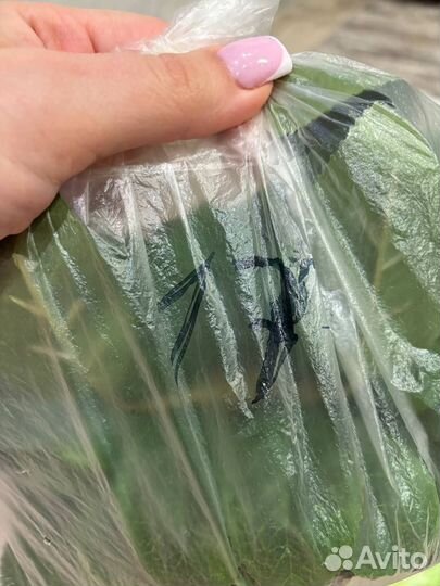 Искусственная вставка в букеты лист розы