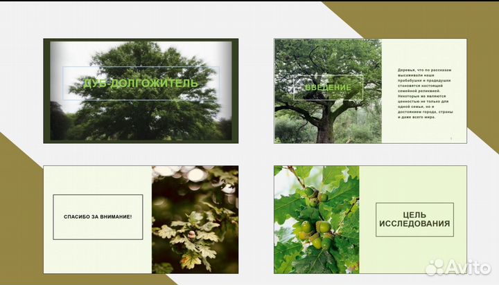 Создание презентаций в power point на заказ