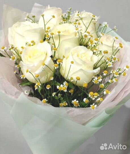 Роза белая пионовидная