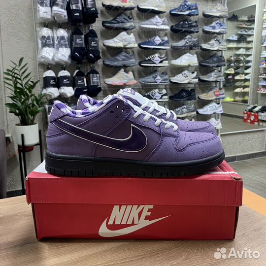 Кроссовки мужские Nike SB Dunk Concepts Lobster