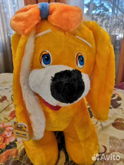 Собака Дина