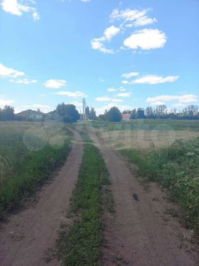 Участок 36,6 сот. (СНТ, ДНП)