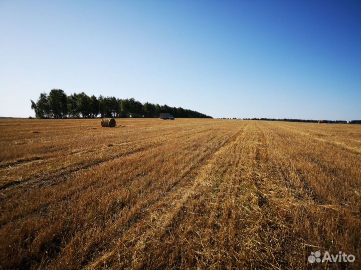 Сено,рулоны
