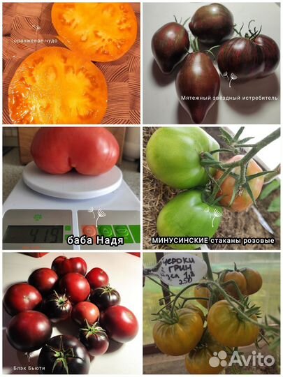 Семена сортовые томаты (2 набора)