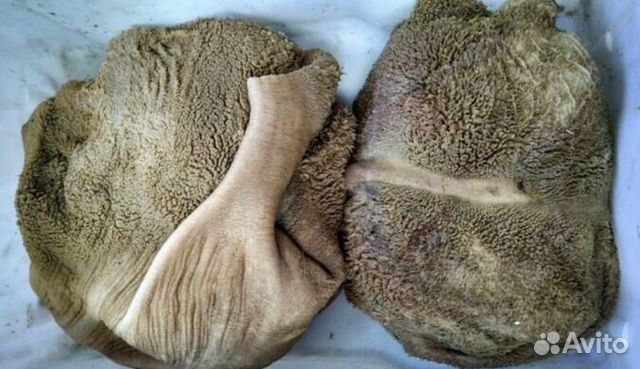 Рубец говяжий