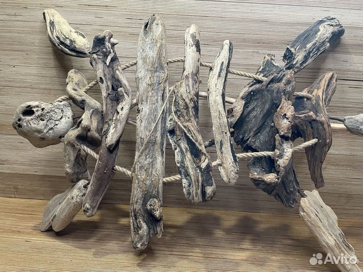 Две черепахи рядом