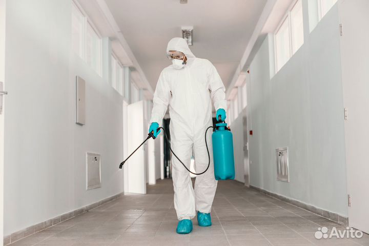 Дезинфекция тараканов и клопов