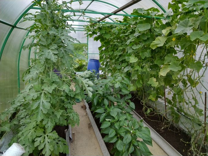 Дача 55 м² на участке 8 сот.