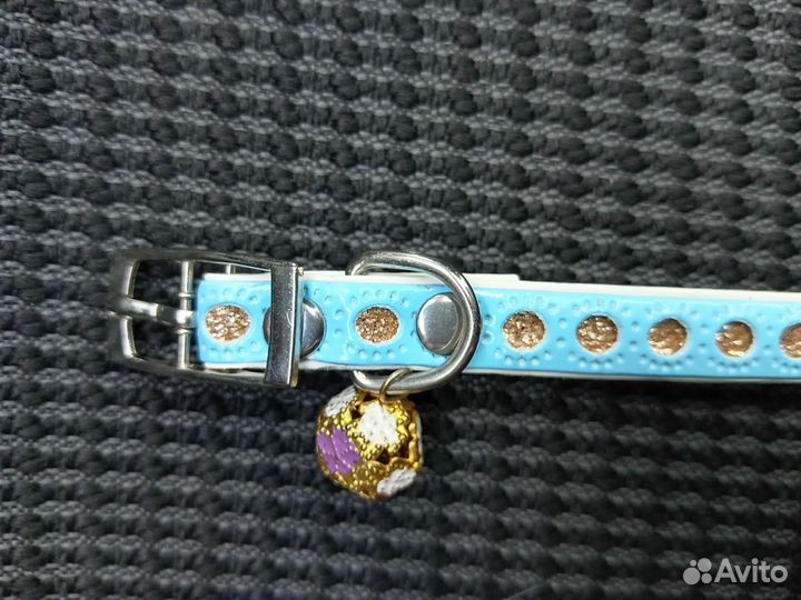 Ошейник для собак