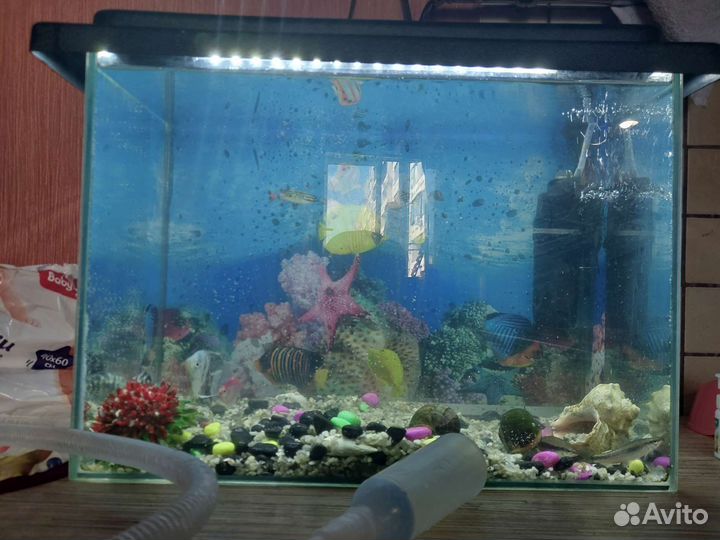 Аквариум
