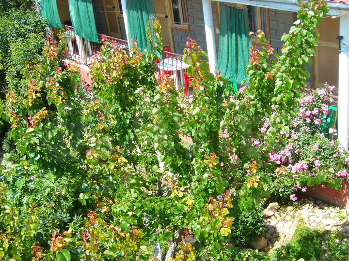 Комната 15 м², 1/1 эт.