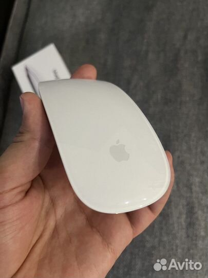 Apple magic mouse 2